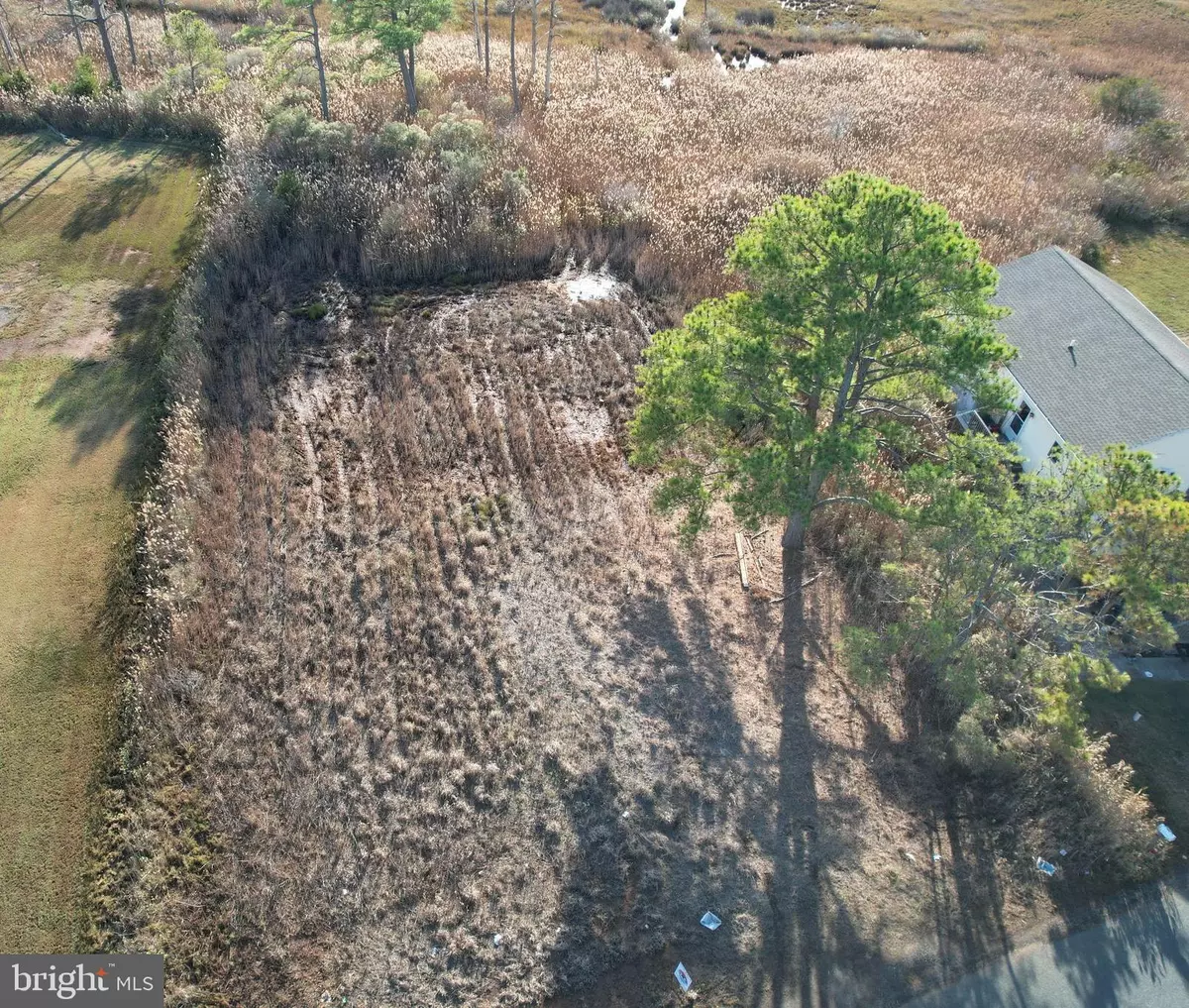 Crisfield, MD 21817,PARCEL 724 CALVARY RD