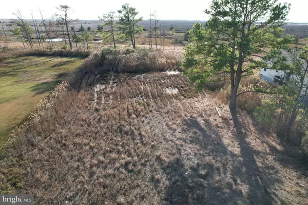 Crisfield, MD 21817,PARCEL 724 CALVARY RD