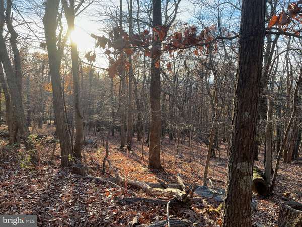 Harpers Ferry, WV 25425,ALTA VISTA