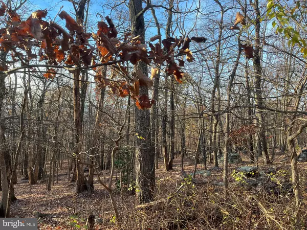 Harpers Ferry, WV 25425,ALTA VISTA