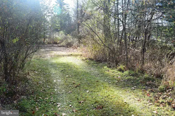 LOT ON PENNS CREEK RD, Spring Mills, PA 16875