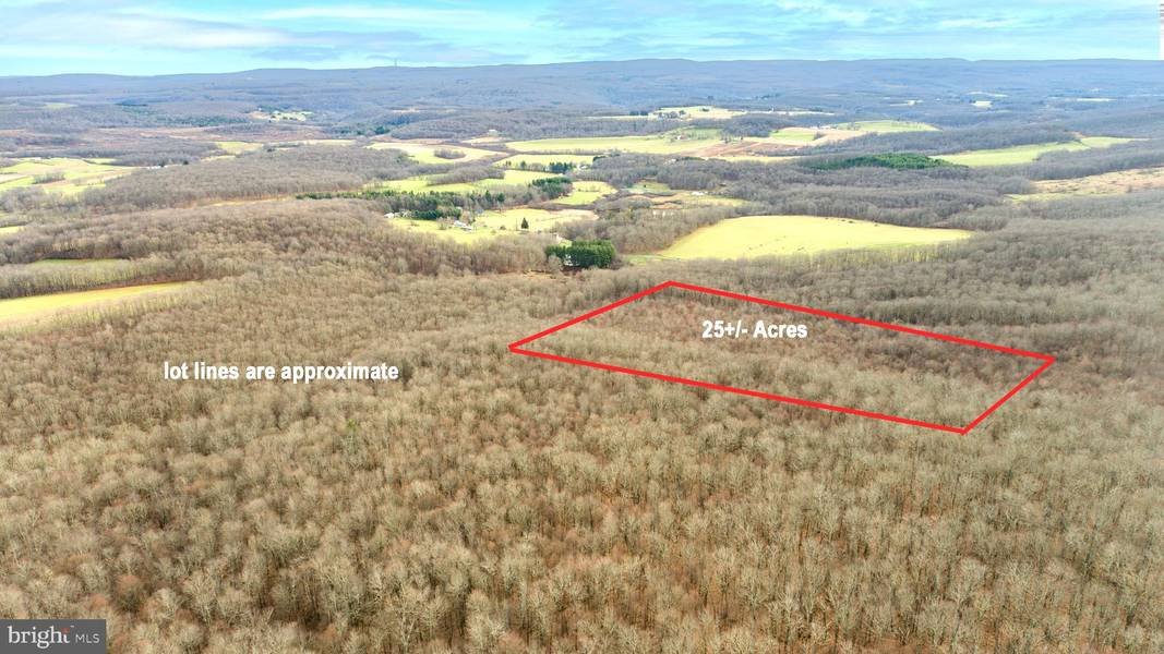 25 ACRES LOT D BAILIFF LN, Oakland, MD 21550