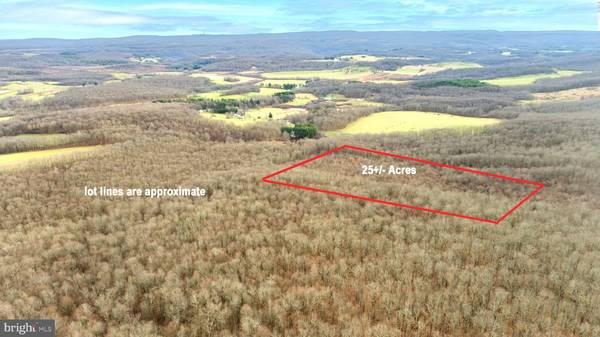 25 ACRES LOT D BAILIFF LN, Oakland, MD 21550