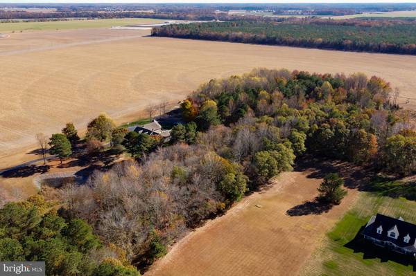 Ellendale, DE 19947,LOT 3 REYNOLDS POND RD