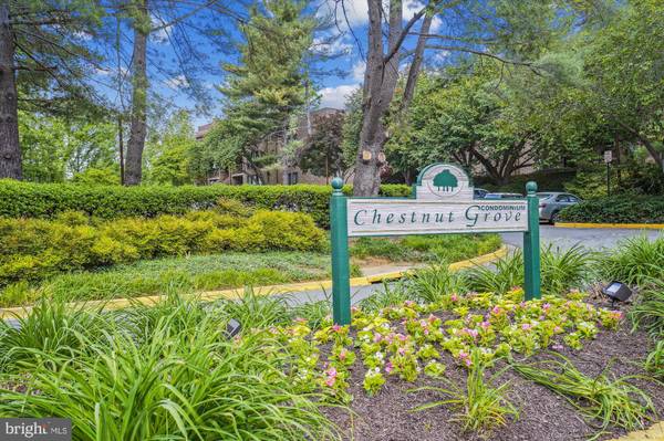 11224 CHESTNUT GROVE SQ #11224-125, Reston, VA 20190