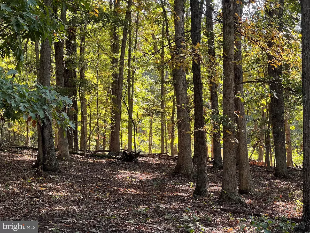 Baker, WV 26801,18.24 ACRES PARKER HOLW