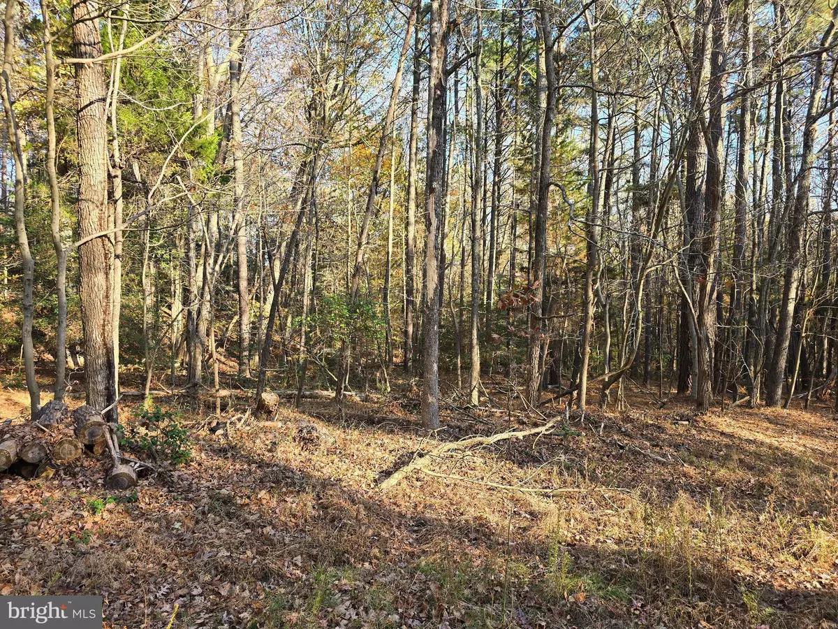 Montross, VA 22520,LOT 4 FALLING LEAF LANE