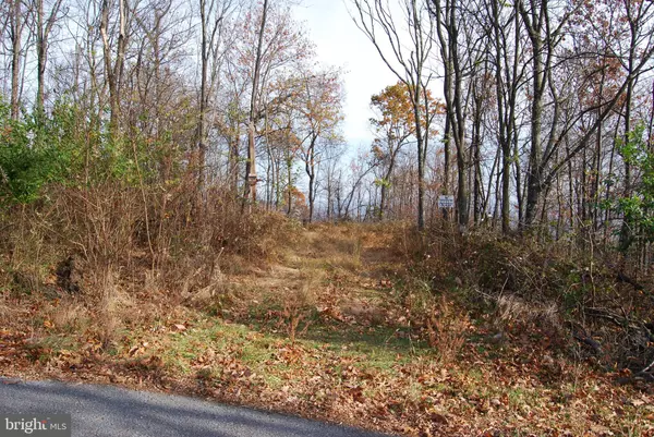 Gerrardstown, WV 25420,LOT 139 ALLEGHENY WAY