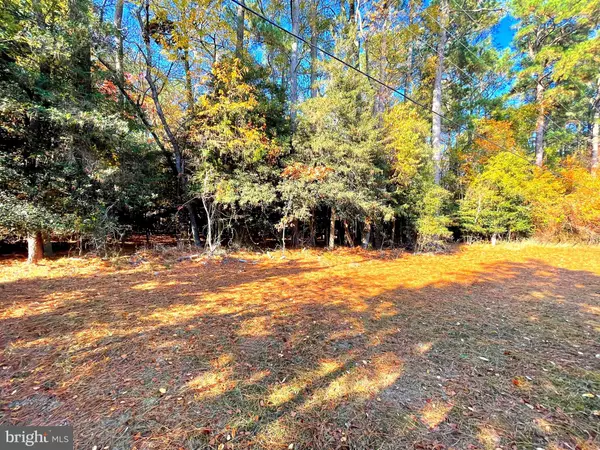 Millsboro, DE 19966,35320 WOOD DUCK RD #31367