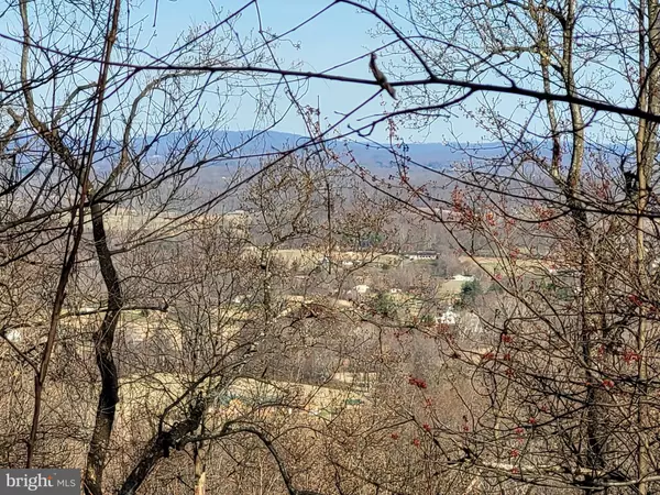 Flint Hill, VA 22627,WOODLANDS DRIVE