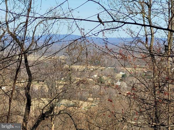 Flint Hill, VA 22627,WOODLANDS DRIVE