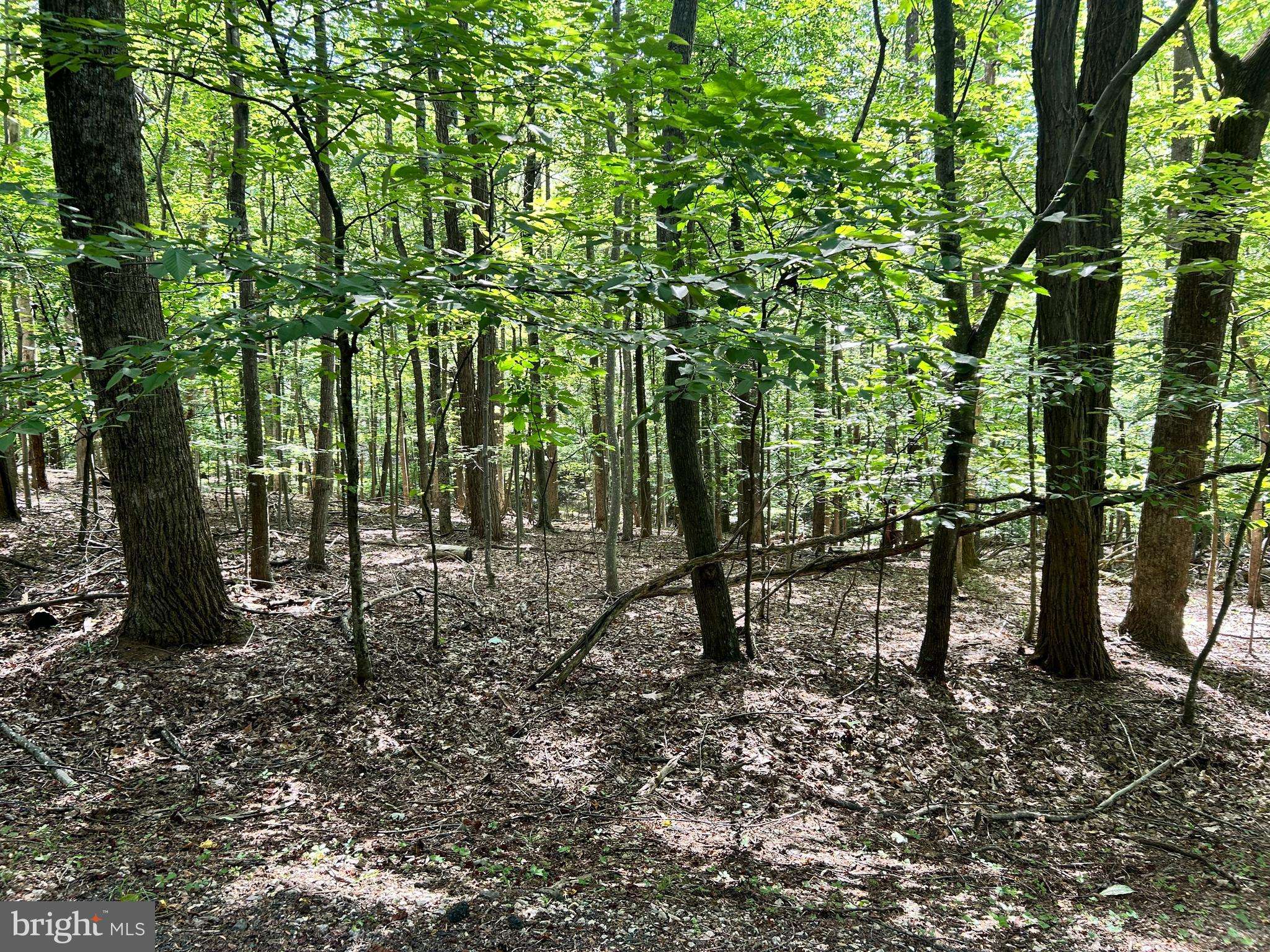 Nellysford, VA 22958,0 DOGWOOD LANE
