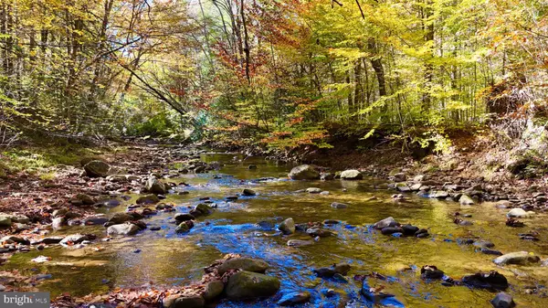 Mill Creek, WV 26280,2453 CHANNEL RD