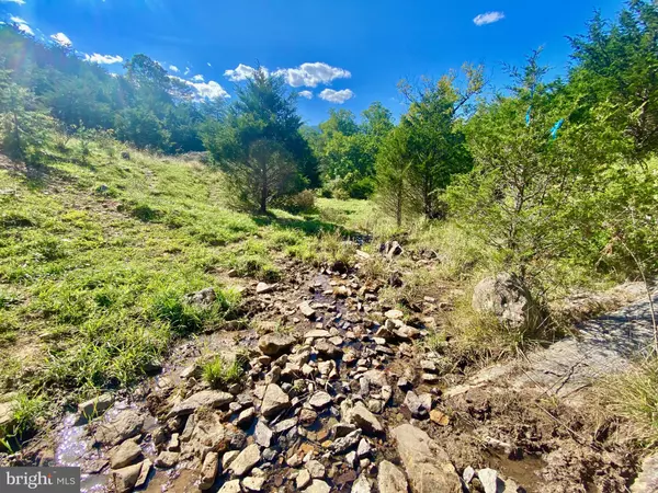 Maysville, WV 26833,411 RIMFIRE ROAD; JORDAN RUN RD