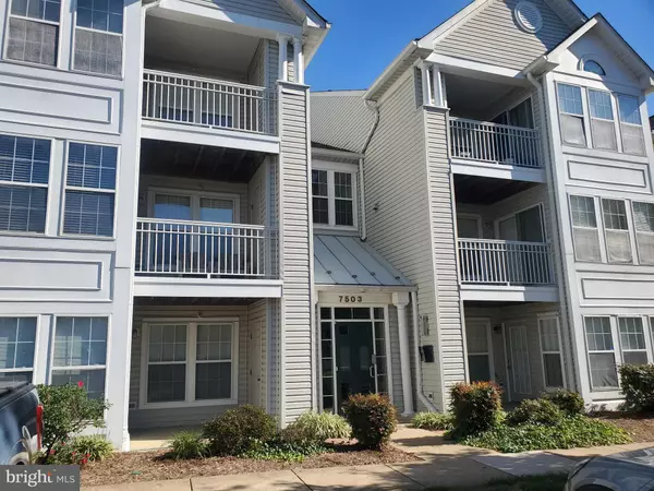 Alexandria, VA 22306,7503-H CALDERON CT #236