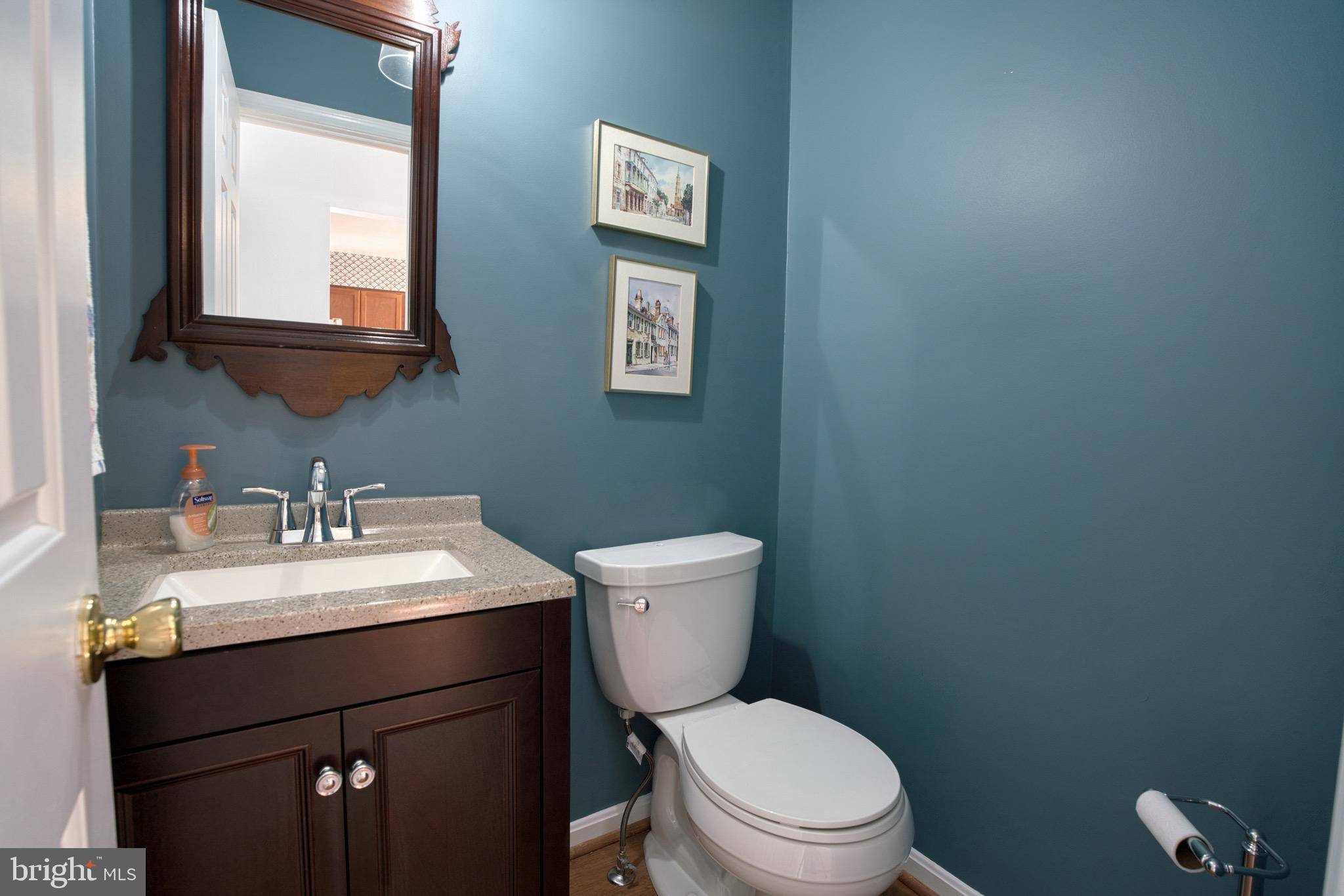 Lutherville Timonium, MD 21093,6 SALTHILL CT