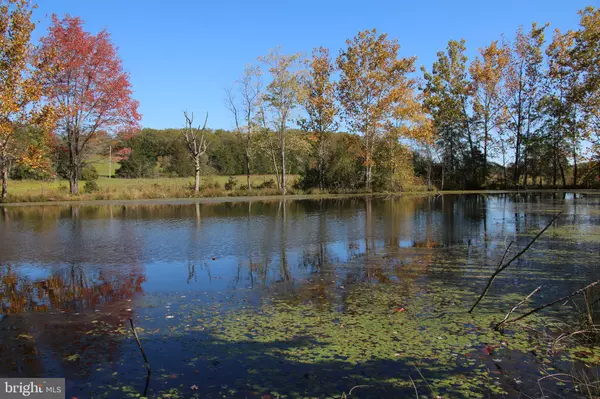 SADLICK LOT O RD, Strasburg, VA 22657