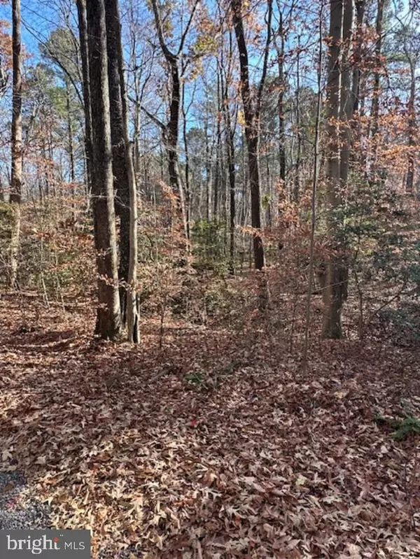 Montross, VA 22520,LOT 14 HOLLY POINT DR