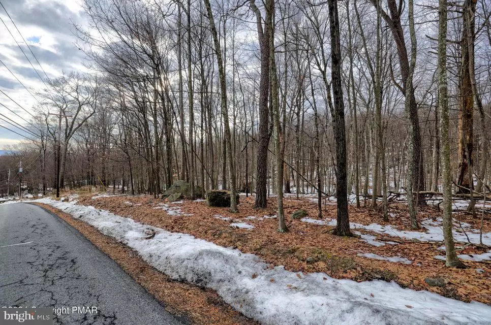 Bushkill, PA 18324,LOT 28 EAGLE PATH