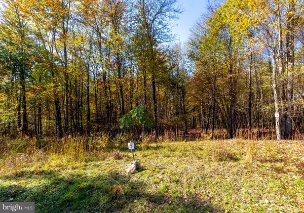 Oakland, MD 21550,LOT 5 BOBCAT HILL LN