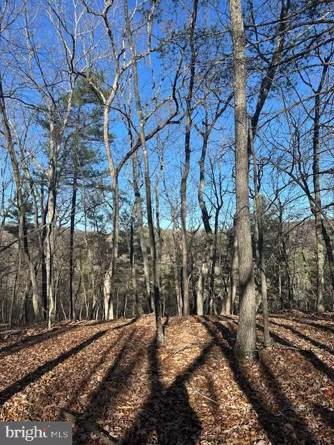 Great Cacapon, WV 25422,SHADOW RIDGE ROAD