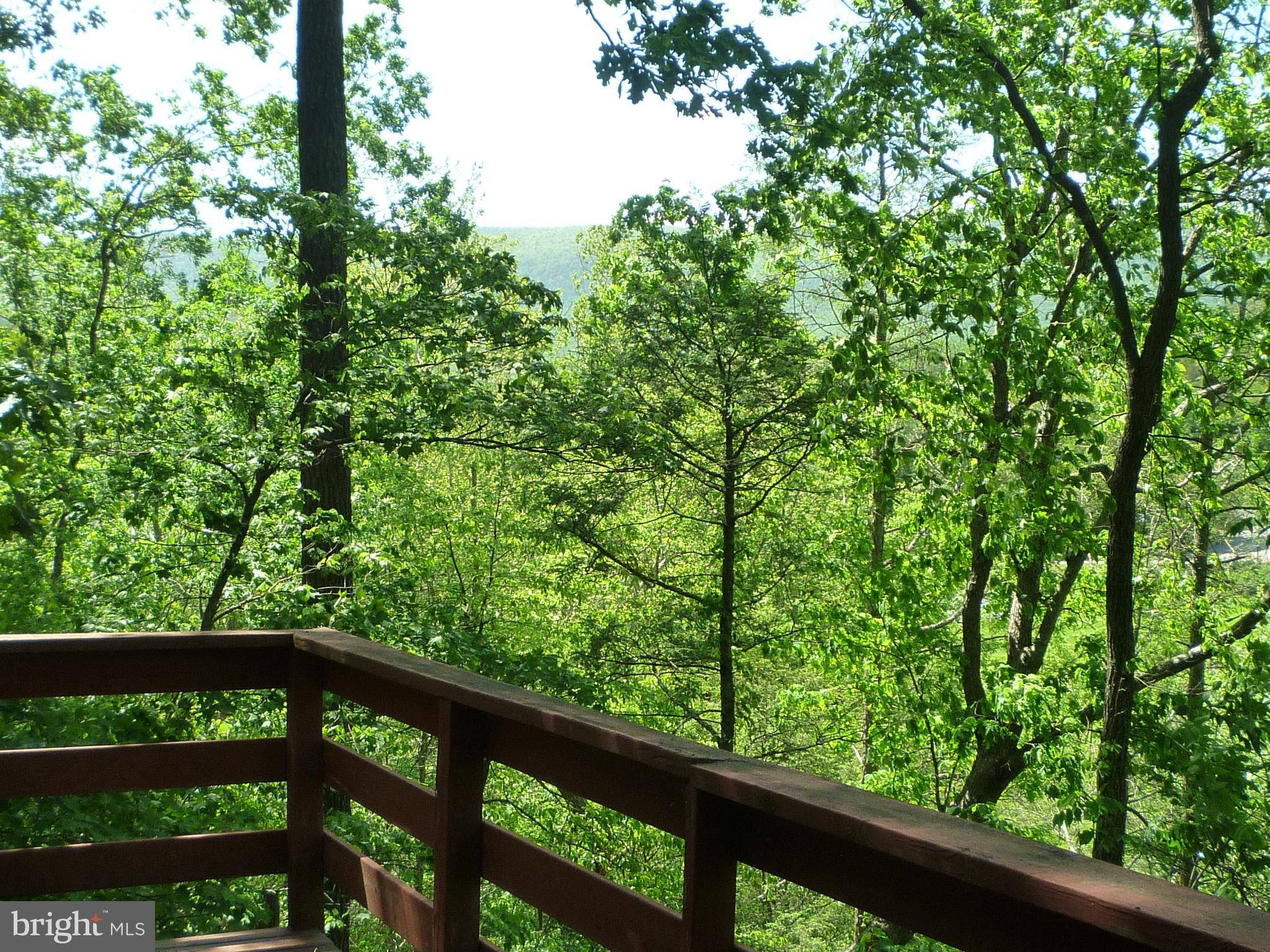 Basye, VA 22810,63 FAIRWAY DR