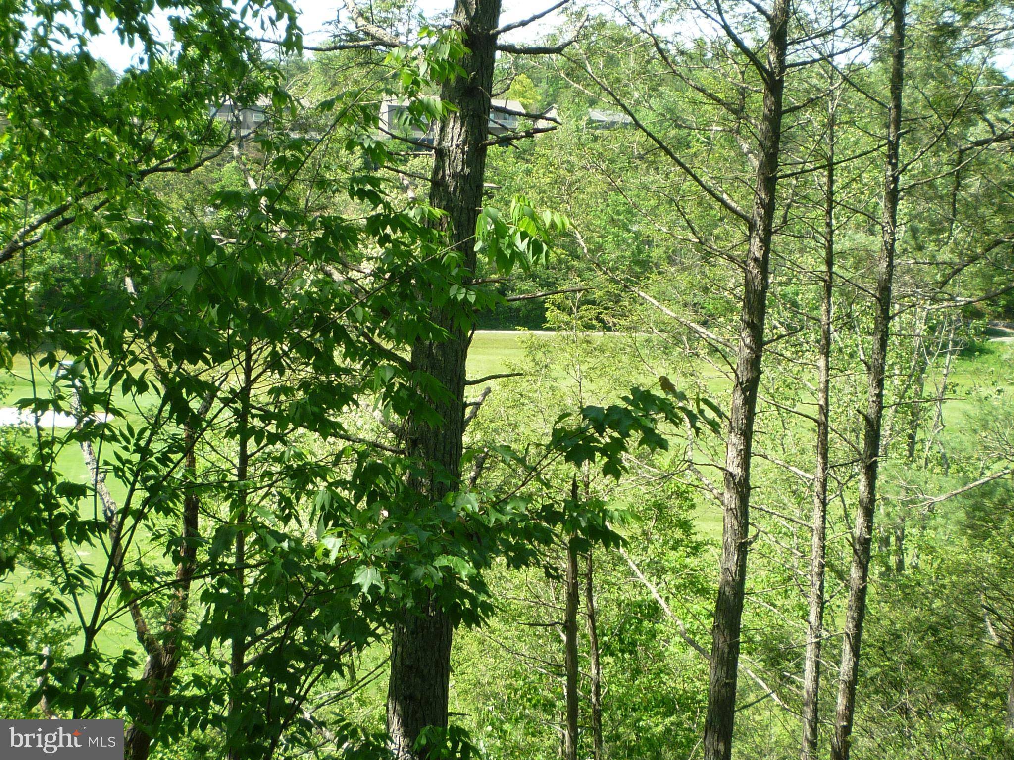 Basye, VA 22810,63 FAIRWAY DR