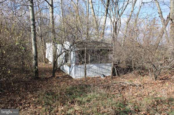 Augusta, WV 26704,5.00 AC FORD HILL RD