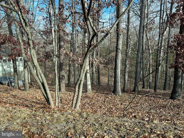 Cross Junction, VA 22625,LOT 183-407 NORTHWOOD CIRCLE