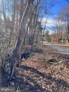 LOT 5998 VERMONT RD, Rhoadesville, VA 22542