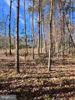 (LOT 5999) VERMONT RD, Rhoadesville, VA 22542