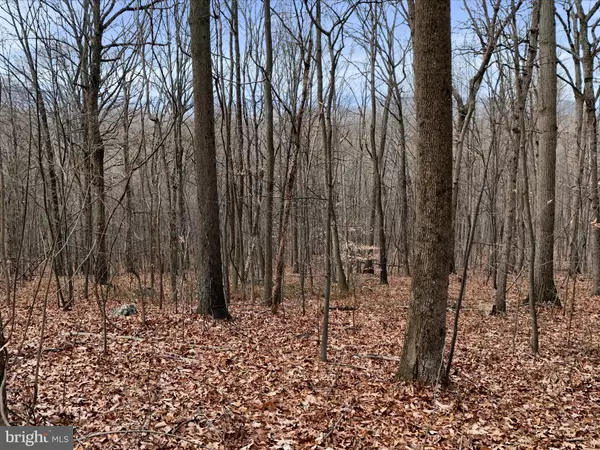 Hedgesville, WV 25427,LOT 7 BARRETT LN