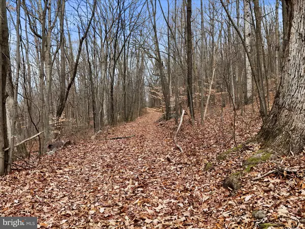 Hedgesville, WV 25427,LOT 7 BARRETT LN