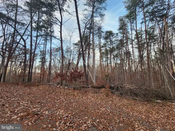 Gordonsville, VA 22942,LOT 10 PARADISE LN