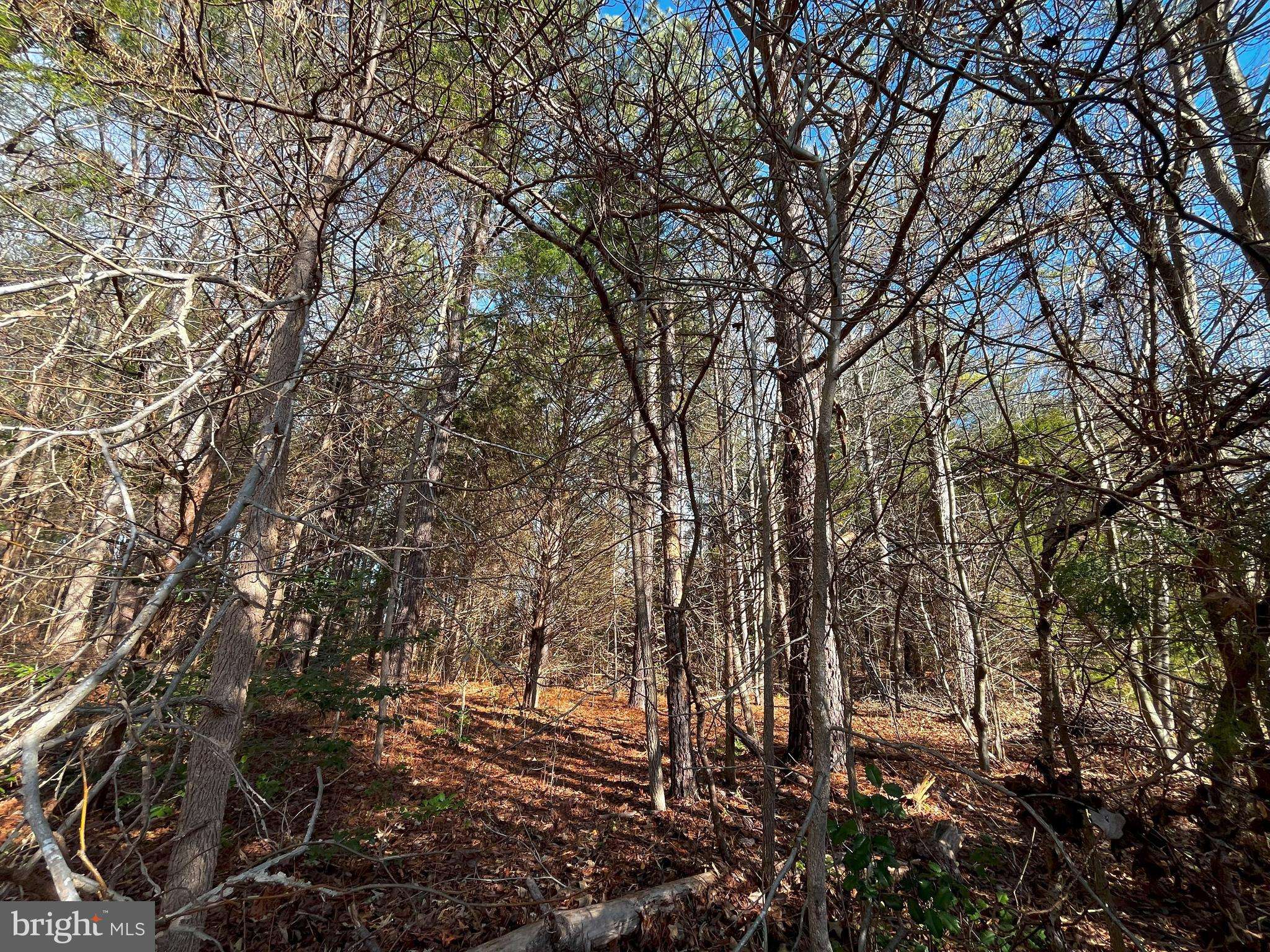 Woodford, VA 22580,0C MCKENNEY
