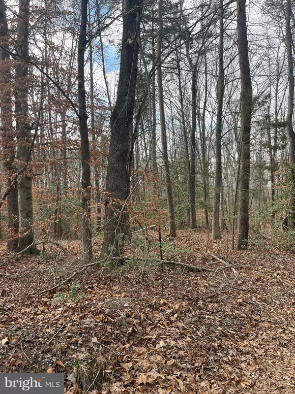 Woodford, VA 22580,6317 LITTLE ACRES LN