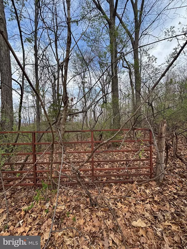 Staunton, VA 24401,00 CHESTNUT RIDGE RD
