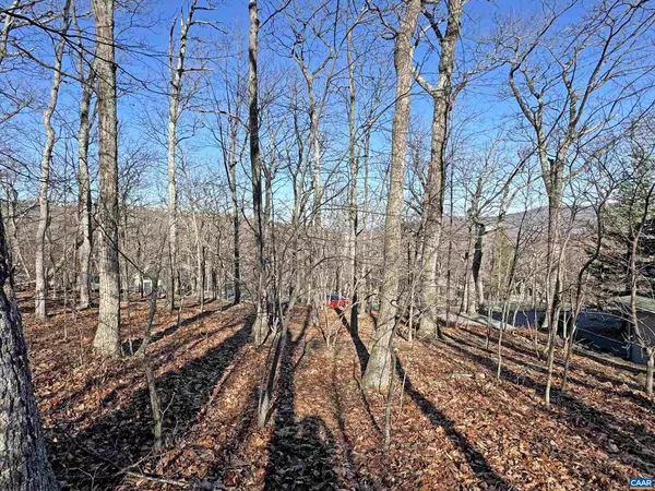 Wintergreen Resort, VA 22967,82 PEDLARS EDGE DR