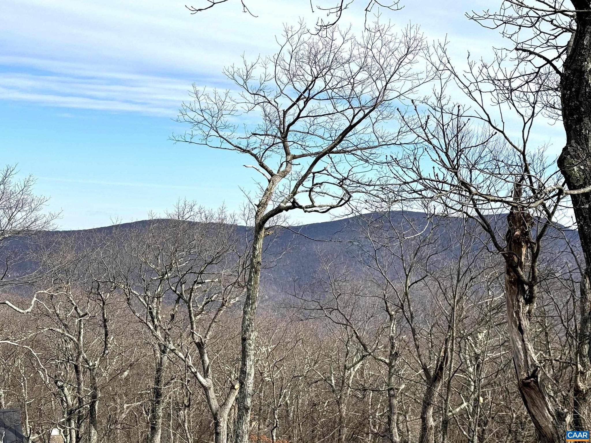 82 PEDLARS EDGE DR, Wintergreen Resort, VA 22967