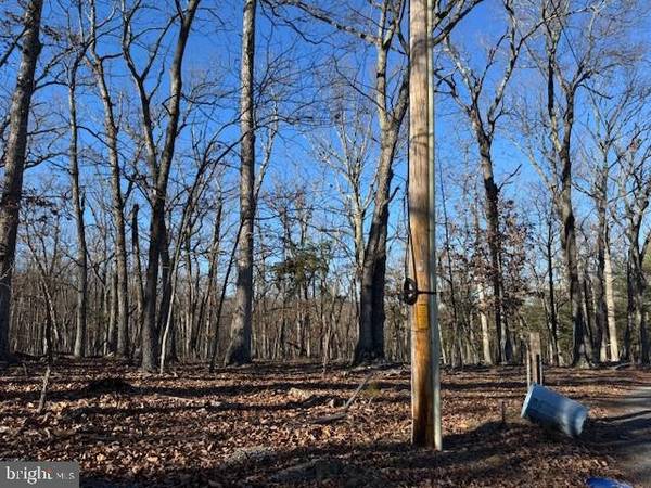 Berkeley Springs, WV 25411,LOT 4 TURKEY RIDGE LN