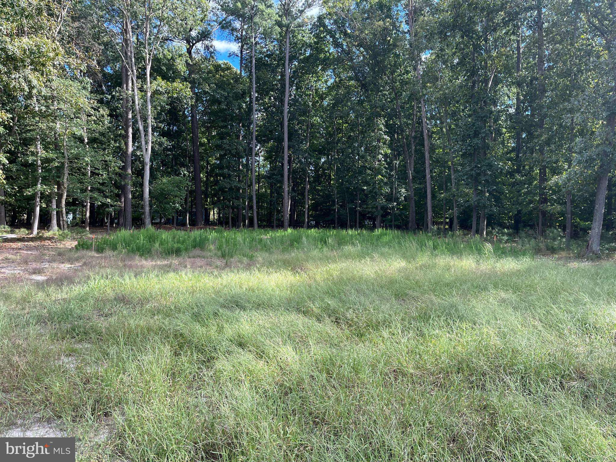 HERSHEL DAVIS RD, Millsboro, DE 19966