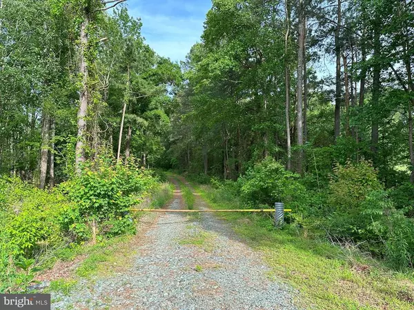 HADEN MARTIN ROAD (TRACT: MARTIN PITTS), Palmyra, VA 22963