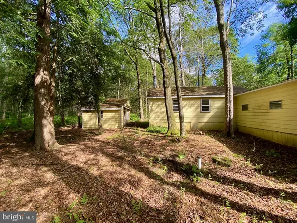 Gouldsboro, PA 18424,20 YELLOW FEATHER PATH