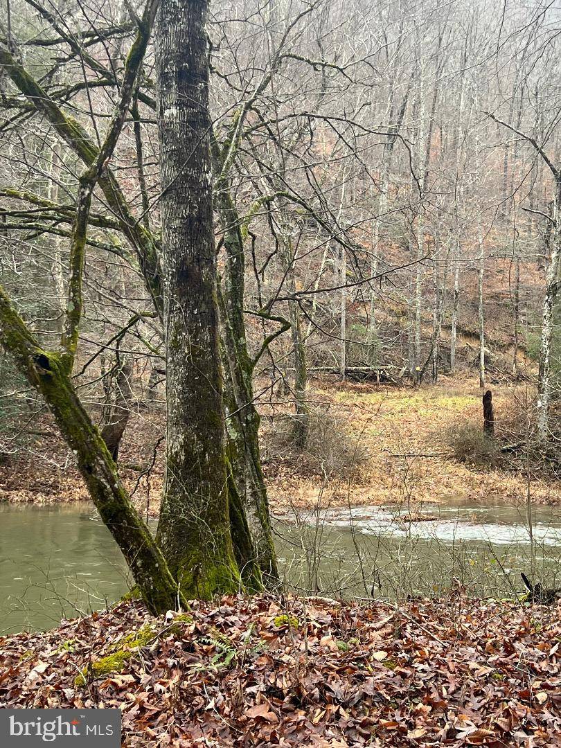 Diana, WV 26217,39.75 AC