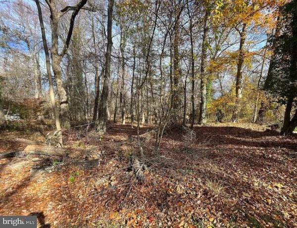 13 WHITE BIRCH TRL, Medford, NJ 08055