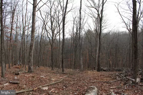 Slanesville, WV 25444,14.29 AC WHISPERING PINES RD