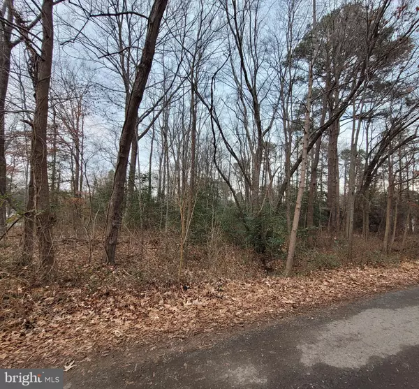 Colonial Beach, VA 22443,LOT 14 FOREST GROVE RD