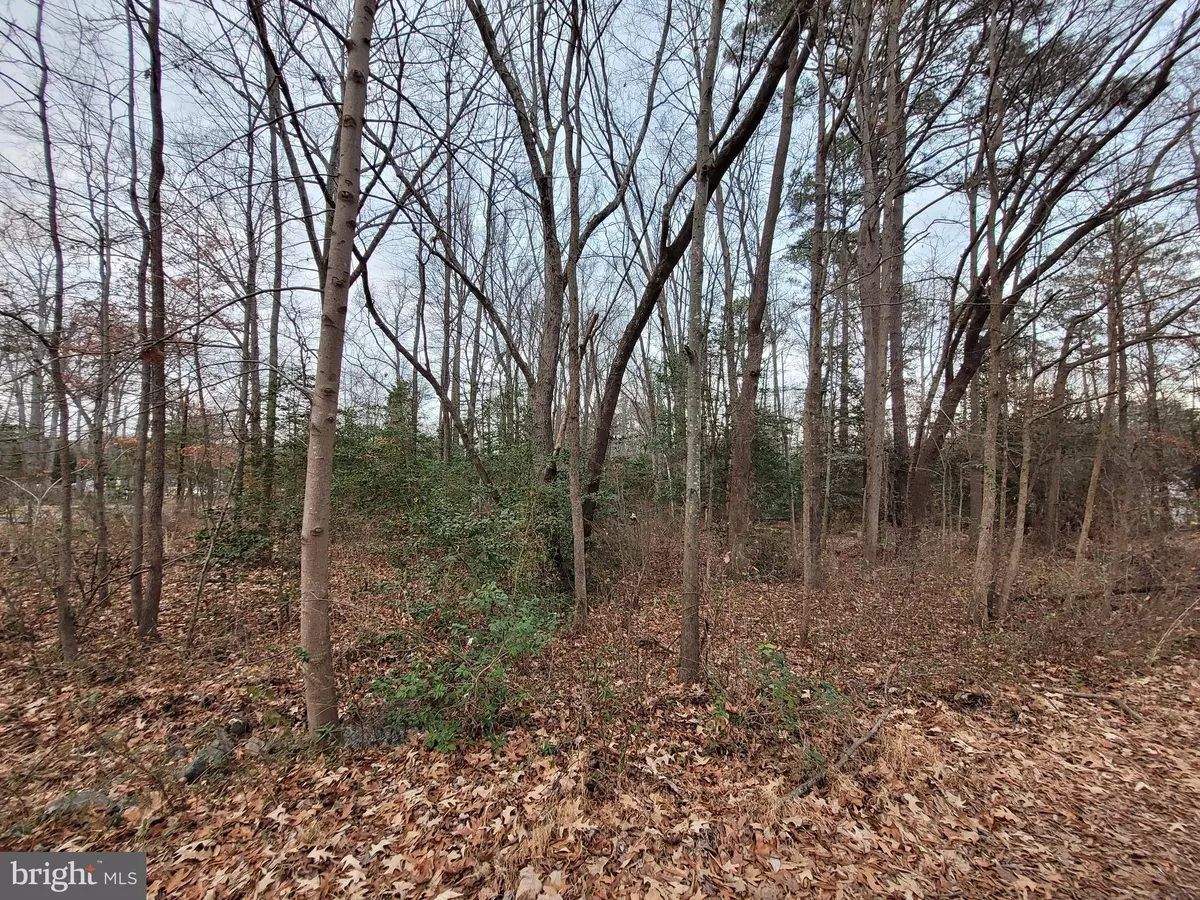 Colonial Beach, VA 22443,LOT 14 FOREST GROVE RD