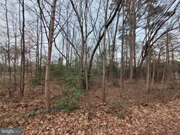 LOT 14 FOREST GROVE RD, Colonial Beach, VA 22443