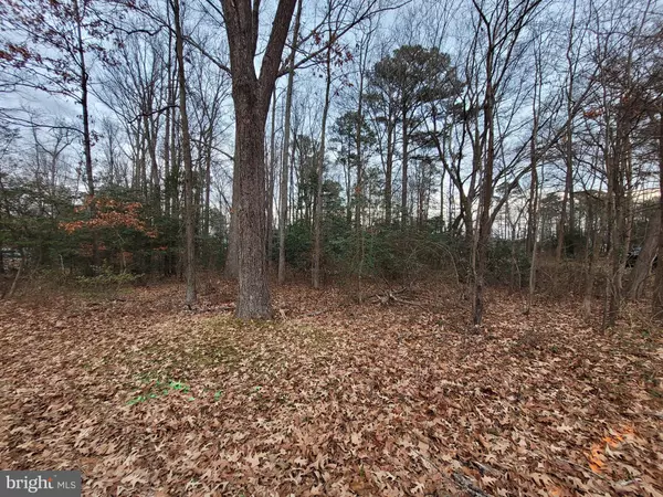 Colonial Beach, VA 22443,LOT 14 FOREST GROVE RD